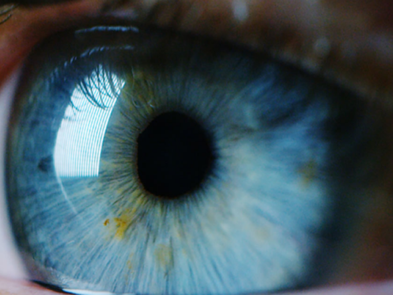 Ophthamologists