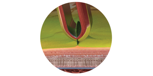 closeup of sharkskin forceps