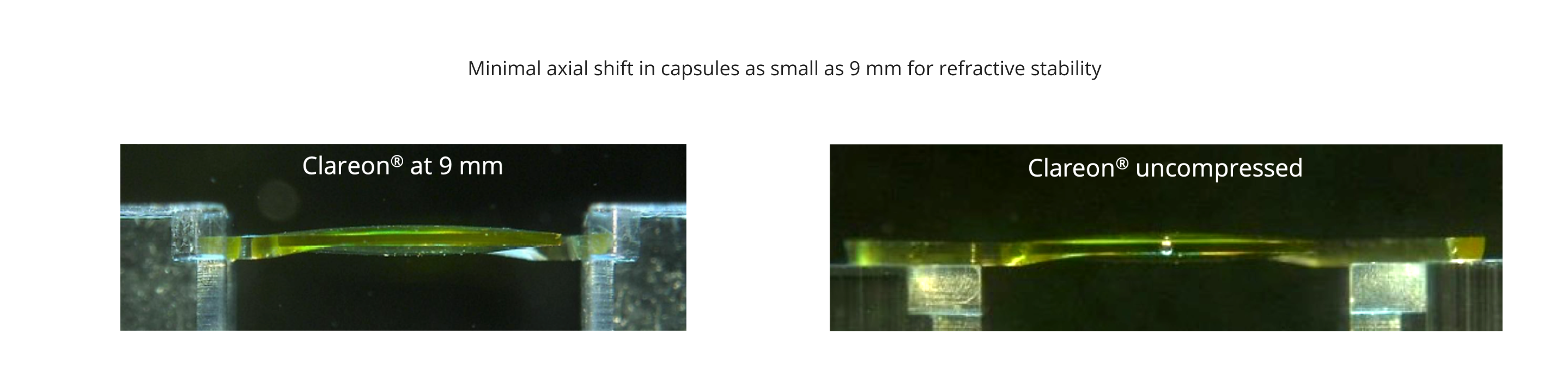 Gray Background Image of man by the ocean