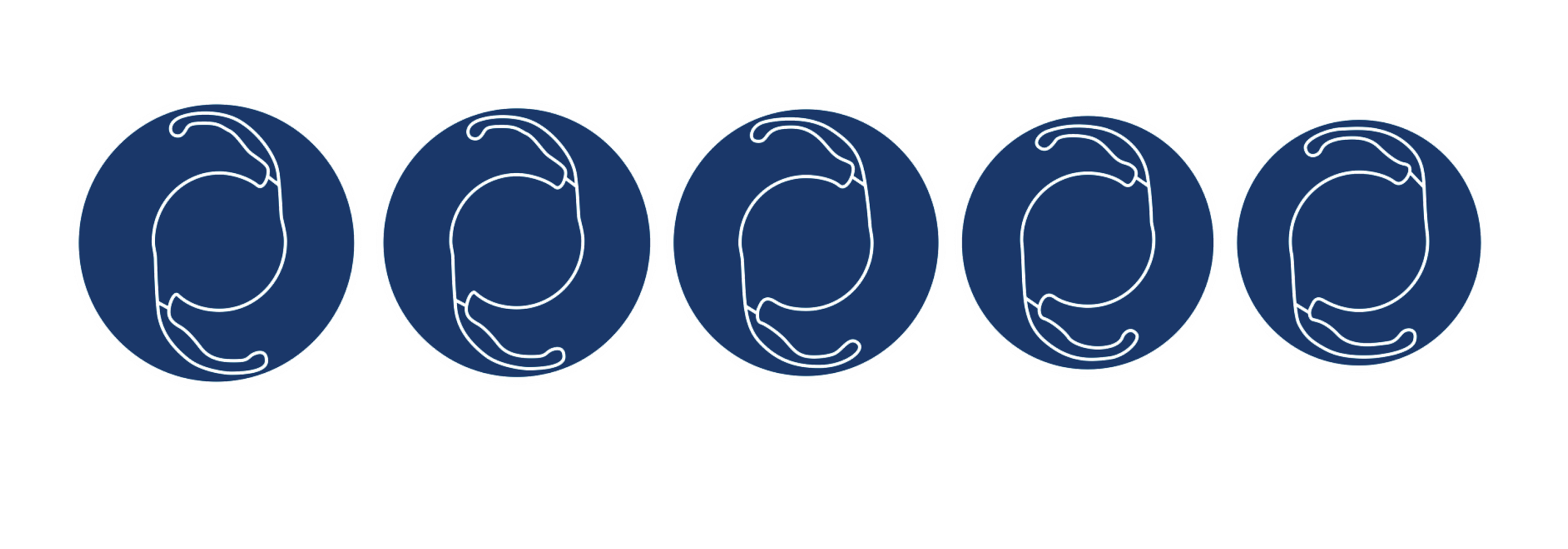 Gray Background Image of man by the ocean