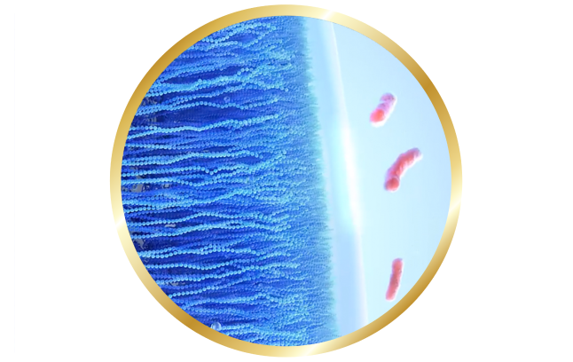 CELLIGENT® Technology