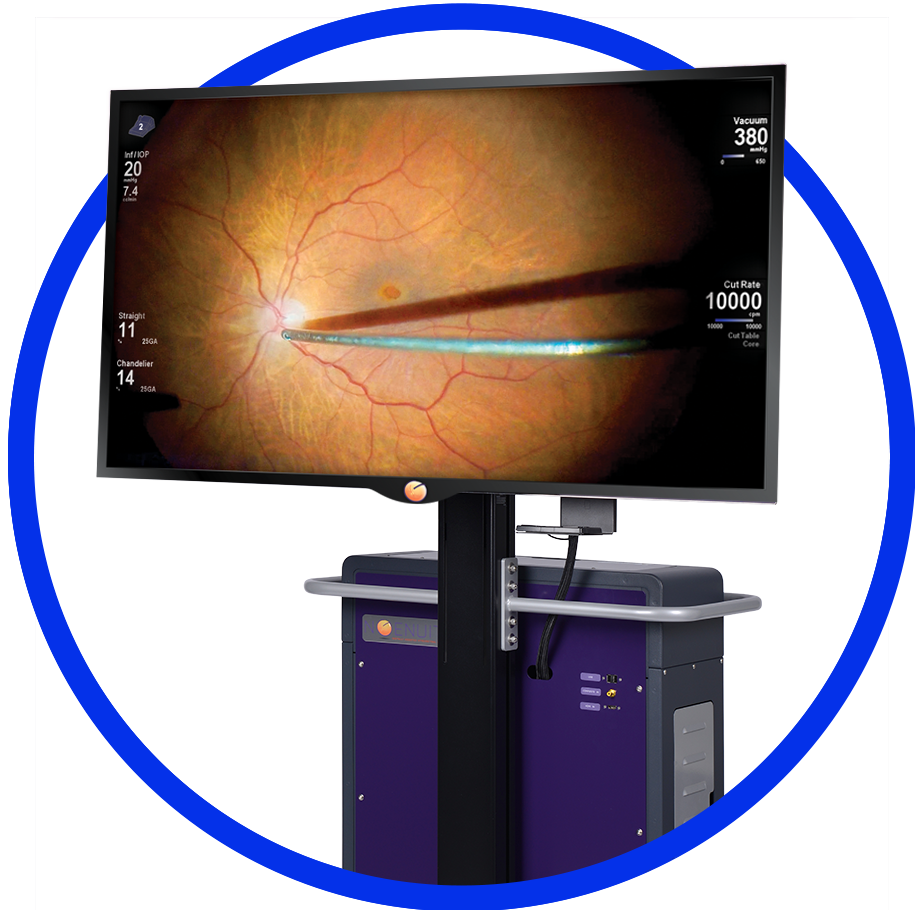 Ngenuity on white background with blue circle