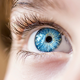 MA mega menu vertical cta image 1