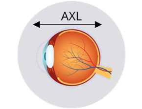 Axial length image
