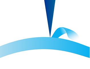 Individualized Flaps Image