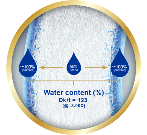 Surface of eye showing gradual transition of water content from 33% at the core to nearly 100% at the lens surface