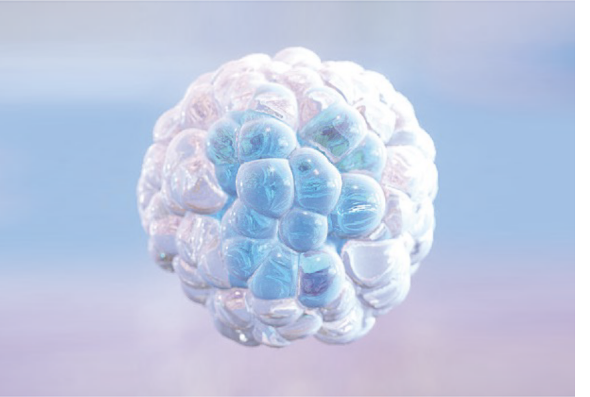 Lipid nano-droplets image