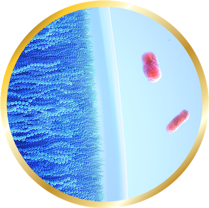 Image of celligent technologie