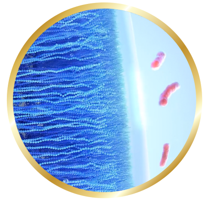 Image of celligent technologie