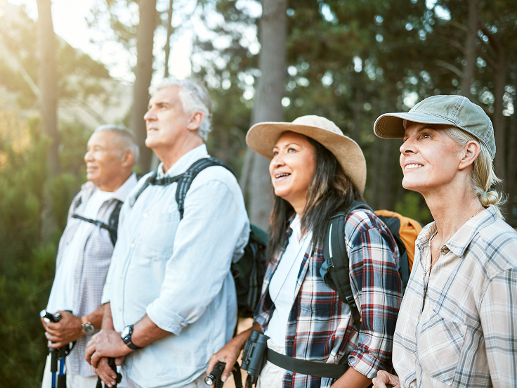 Un groupe de quatre adultes âgés, deux hommes et deux femmes, fait de la randonnée en forêt. Ils sont habillés en tenue de plein air avec des sacs à dos et des chapeaux, regardant devant eux avec des sourires sur leurs visages.