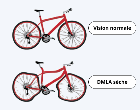 a picture of a bicycle with a description