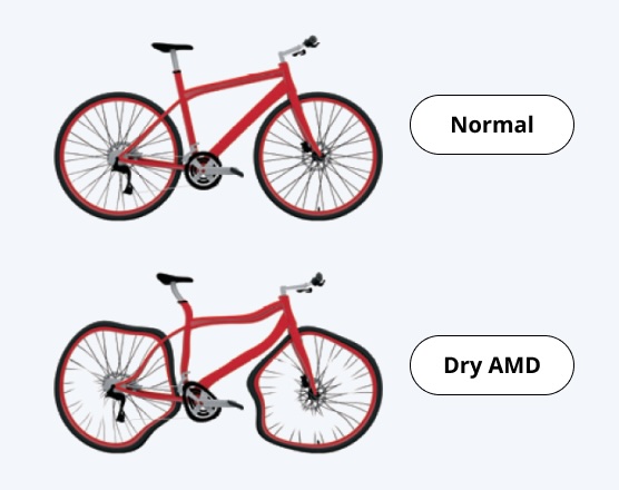 a picture of a bicycle with a description