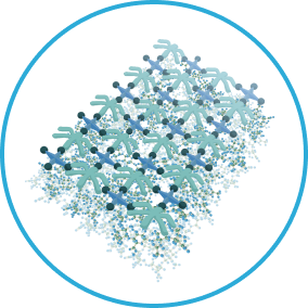 Illustration de la matrice à double polymère formée par l’acide hyaluronique (AH) et l’hydroxypropyl-guar (HP-guar).