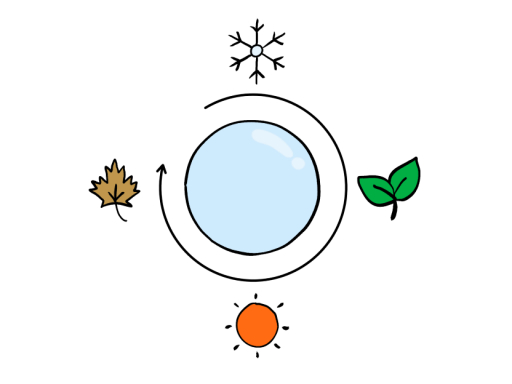 Image of contact lens with snowflake, green leaf, sun and brown leaf