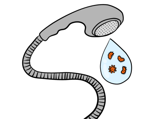 Shower graphics