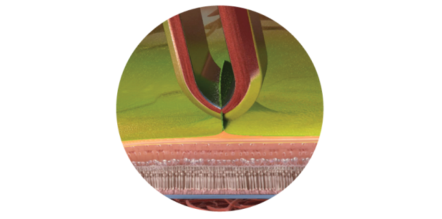 closeup of sharkskin forceps