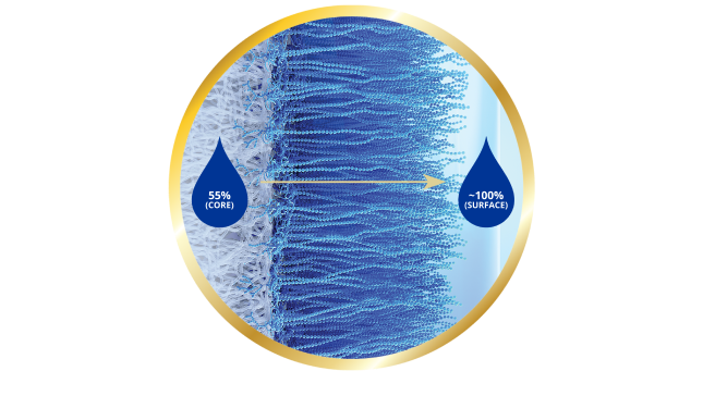 Surface of eye showing gradual transition of water content from the core to nearly 100% at the lens surface