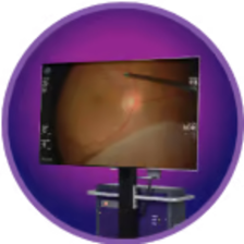 Sharkskin Circle with Black Background