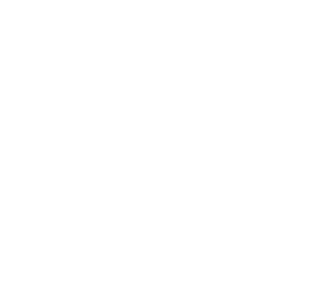 stop watch icon